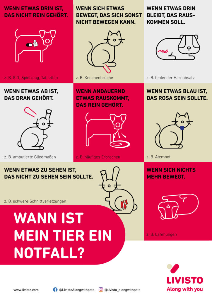 Infografik mit dem Titel „Wann ist mein Tier ein Notfall?“ und Beispielen für tiermedizinische Notfälle bei Hund, Katze und Kaninchen.