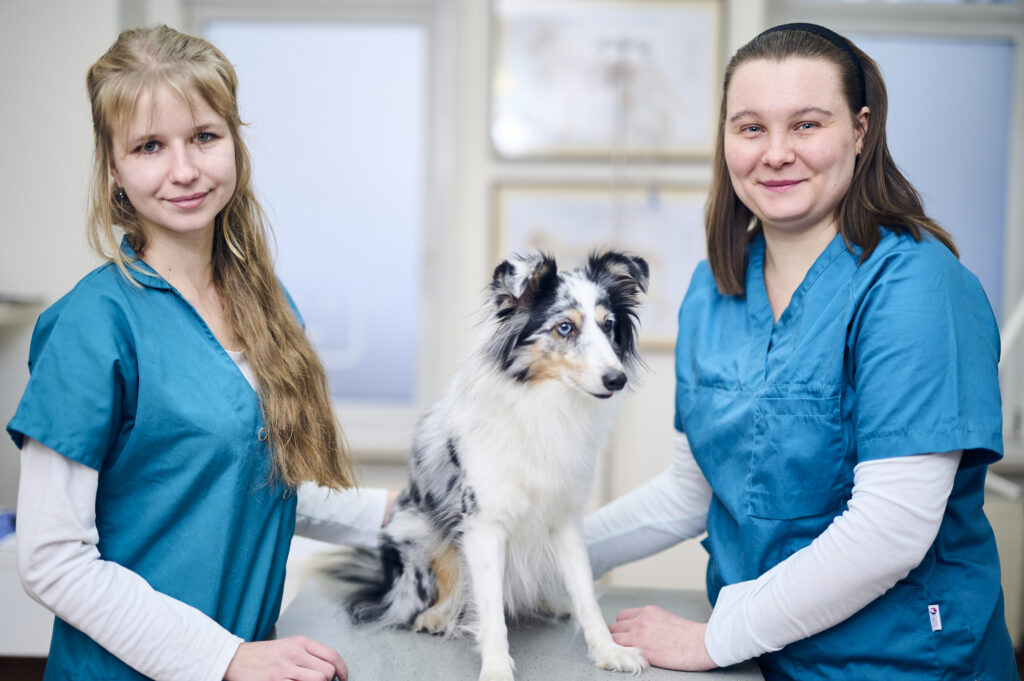 Zwei Mitarbeiterinnen einer Tierarztpraxis in blauer Arbeitskleidung mit einem Hund auf dem Behandlungstisch.