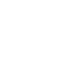 Icon für Leistungsbereich der Tierarztpraxis