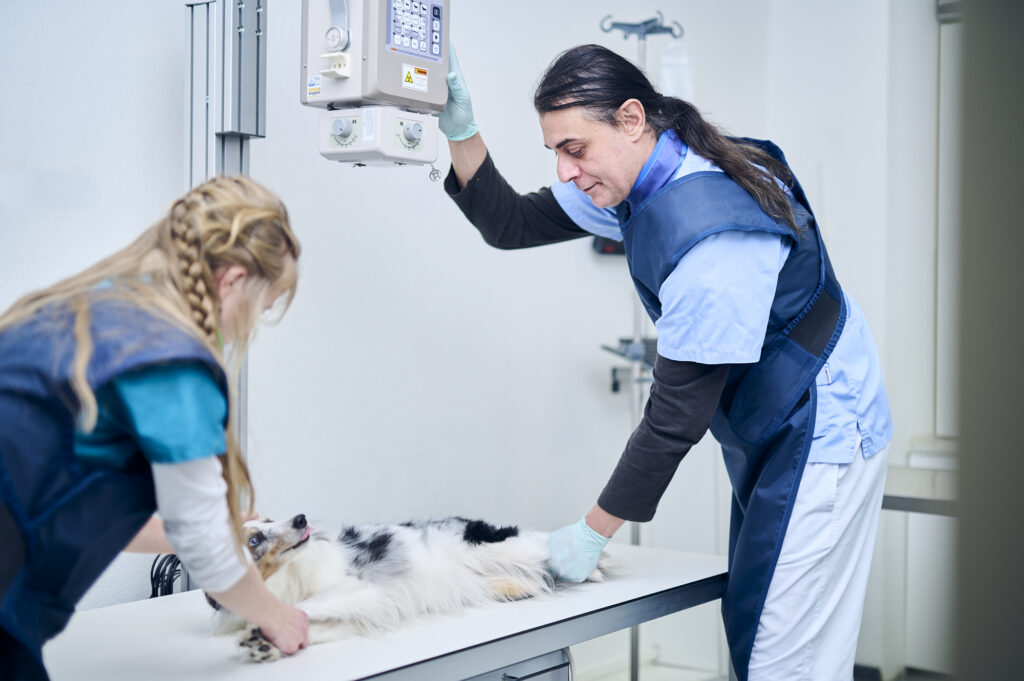Tierarzt und Mitarbeiterin positionieren einen Hund für eine Röntgenaufnahme im Behandlungsraum.